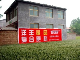 延川如何让墙体广告展现最大化效果