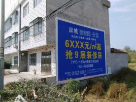 延川墙体广告质量分析