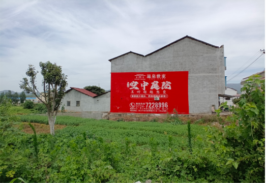 延川做墙体广告的意义