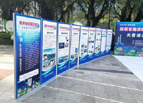 延川KT板的种类和知识。